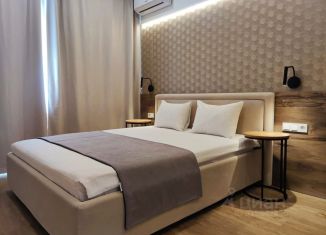 Сдается двухкомнатная квартира, 57 м2, Ульяновск, улица Карла Маркса, 33/2, Ленинский район