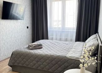 Аренда однокомнатной квартиры, 32 м2, Курганская область, 8-й микрорайон, 5/2