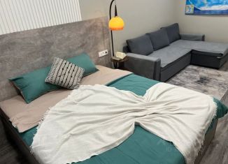 Сдаю 1-ком. квартиру, 40 м2, Самара, улица Николая Баженова, 2Б, метро Безымянка