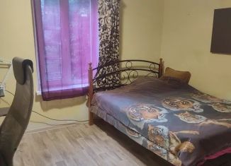 Сдается в аренду дом, 35 м2, Крым, улица Матросова, 50
