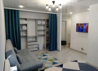 Сдается однокомнатная квартира, 32 м2, Ярославль, улица Победы, 19