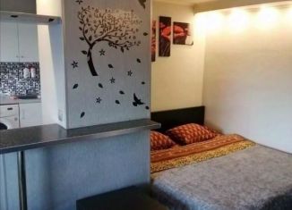 Сдаю 1-ком. квартиру, 35 м2, Омская область, проспект Карла Маркса, 73
