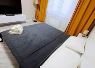 Сдаю однокомнатную квартиру, 46 м2, Омск, улица Конева, 6, ЖК На Конева