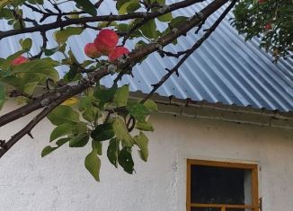 Продаю участок, 6.29 сот., Курганская область, КС Рябинушка, 143