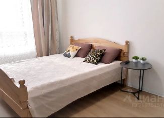 Сдается квартира студия, 25 м2, Калужская область, проспект Маркса, 99/3