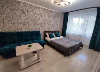 Сдаю в аренду однокомнатную квартиру, 33 м2, Орск, улица Машиностроителей, 8