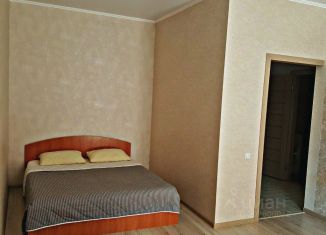 Сдам в аренду 1-комнатную квартиру, 50 м2, Барнаул, Партизанская улица, 55, Центральный район
