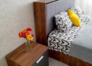 Сдается 1-комнатная квартира, 36 м2, Оренбург, улица Рокоссовского, 33, Дзержинский район