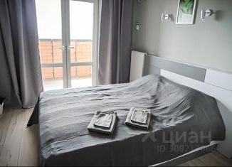 Сдаю в аренду 1-комнатную квартиру, 26 м2, Владимирская область, проспект Строителей, 9к4