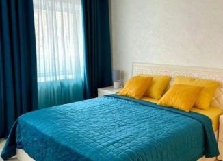 Сдаю 1-комнатную квартиру, 45 м2, Барнаул, улица Никитина, 59А, Центральный район