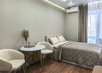 1-комнатная квартира в аренду, 25 м2, Белгород, улица Победы, 126