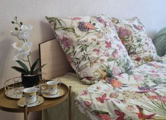 Сдаю в аренду двухкомнатную квартиру, 70 м2, Белгородская область, улица Челюскинцев, 55А