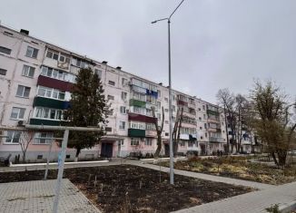 Продажа 2-комнатной квартиры, 44.9 м2, Белгородская область, улица Пушкина, 43