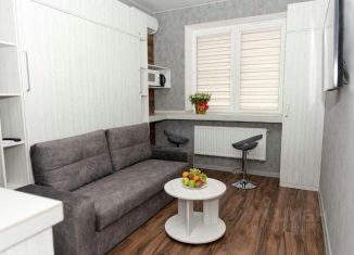 Сдается 1-ком. квартира, 22 м2, Тула, улица Сойфера, 16В