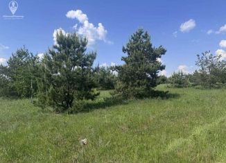 Продам участок, 10 сот., поселок Мурмино
