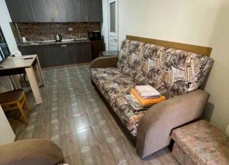 Сдается в аренду 1-комнатная квартира, 25 м2, Пятигорск, улица Буачидзе, 2