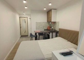 Сдается 1-ком. квартира, 17 м2, Пермь, улица Пушкина, 13