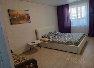 Сдаю в аренду однокомнатную квартиру, 40 м2, Республика Башкортостан, улица Карцева, 30Б