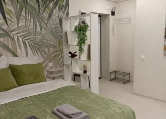 Сдается 1-комнатная квартира, 29 м2, Выборг, Офицерская улица, 4