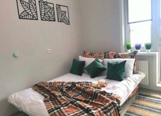Сдача в аренду 1-комнатной квартиры, 16 м2, Пермь, улица Александра Турчевича, 8