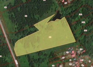 Земельный участок на продажу, 390 сот., деревня Ларионово
