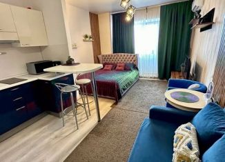 Квартира в аренду студия, 30 м2, Пермь, улица Куфонина, 10Б, Дзержинский район