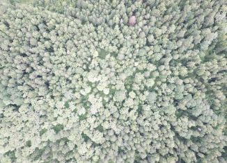 Участок на продажу, 15 сот., Владимирская область
