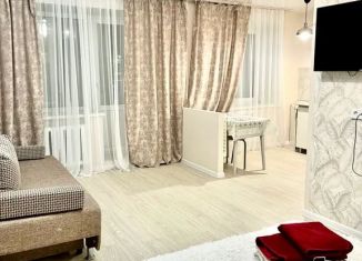 Сдача в аренду квартиры студии, 30 м2, Пермь, Фонтанная улица, 4, Свердловский район