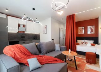 1-комнатная квартира в аренду, 33 м2, Омская область, улица А.Н. Кабанова, 2