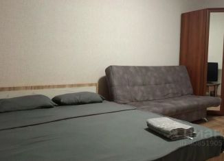 Сдается 1-комнатная квартира, 70 м2, Оренбург, улица Терешковой, 134А