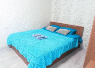 Сдам в аренду 1-ком. квартиру, 40.6 м2, Казань, улица Короленко, 28Б
