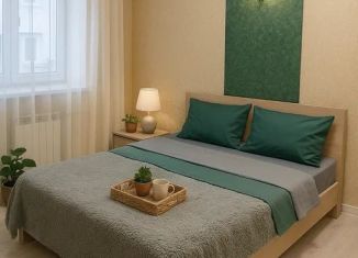 1-ком. квартира в аренду, 43 м2, Воронеж, улица Челюскинцев, 101В