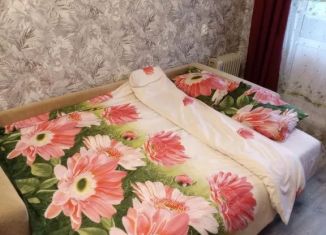 Сдам в аренду однокомнатную квартиру, 32 м2, Мурманск, Ледокольный проезд, 9