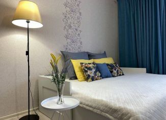 Сдача в аренду 1-ком. квартиры, 52 м2, Пермь, улица Куфонина, 19