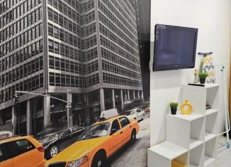 Сдаю в аренду однокомнатную квартиру, 30 м2, Иркутск, улица Пискунова, 142/7, Октябрьский округ