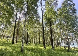 Продажа участка, 18 сот., Иркутская область, ДНТ Красная Поляна, 71