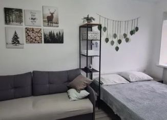 Сдается однокомнатная квартира, 30 м2, Новый Оскол, улица 1 Мая, 6