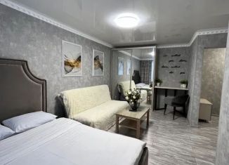 Сдача в аренду 1-комнатной квартиры, 30 м2, Оренбургская область, проспект Ленина, 19