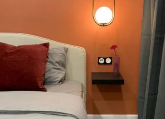 Аренда 2-ком. квартиры, 48 м2, Республика Башкортостан, улица Ленина, 21