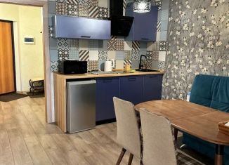 Квартира в аренду студия, 38 м2, Ижевск, Совхозная улица, 9