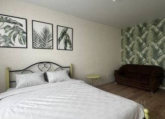 Сдается 1-комнатная квартира, 40 м2, Воронеж, улица МОПРа, 3