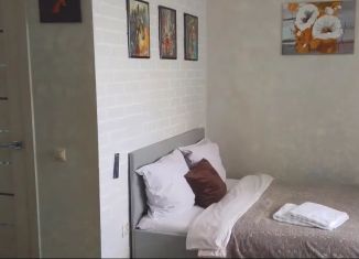 Сдаю квартиру студию, 30 м2, Кольчугино, улица Шмелёва, 7
