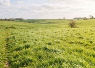 Продажа земельного участка, 2500 сот., село Ая
