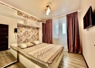 Сдача в аренду 1-комнатной квартиры, 20 м2, Тульская область, улица Генерала Маргелова, 5Б