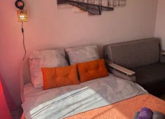 Сдаю 1-комнатную квартиру, 27 м2, Чита, 5-й микрорайон, 43