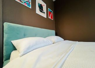 Сдам в аренду квартиру студию, 22 м2, Томская область, улица Савиных, 4А