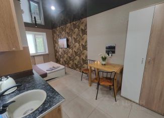 Сдаю в аренду 1-комнатную квартиру, 21 м2, Омск, улица Андрианова, 20, Советский округ