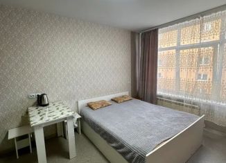 Сдам 1-ком. квартиру, 30 м2, Иркутск, Байкальская улица, 244/2, Октябрьский округ