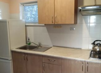 Сдача в аренду дома, 43 м2, село Оленевка
