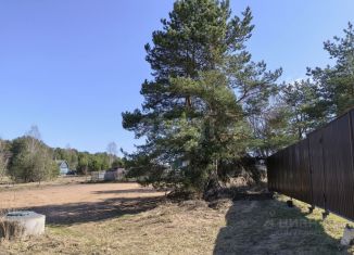 Продаю земельный участок, 10 сот., деревня Святье